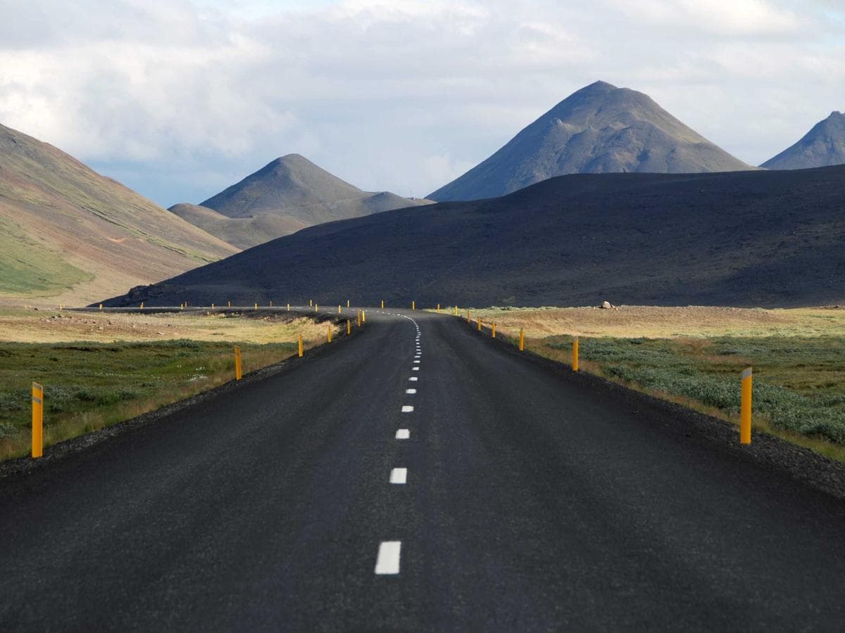 Real photograph: public transport and city streets